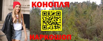 гашик Свободный
