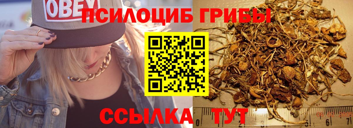 Галлюциногенные грибы мицелий Реж